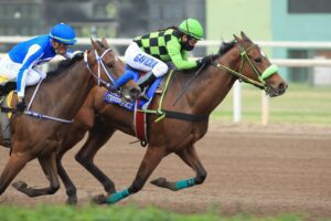 Cuarta victoria para castaña del Tres de Oro(J.Villanueva) 