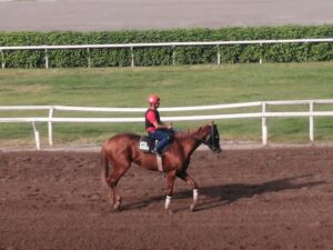 Gluck con Rito Almanza 
