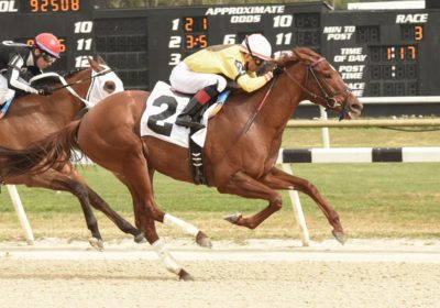 Es hija de Speightstown y lleva de cinco, tres victorias (The Blood Horse)