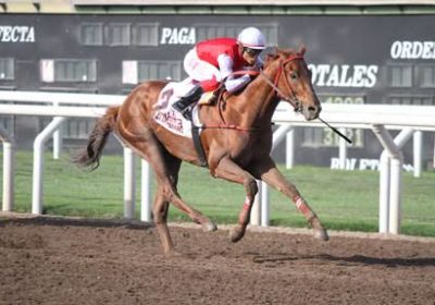 El hijo de Man Of Iron ha ganado dos clásicos (Foto JCP)