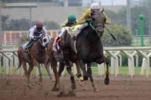 Es un norteamericano hijo de Will Take Charge(Foto JCP) 