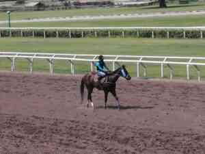 Illika, la Eye On Jacob del Rancho Sur, en gran forma