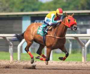 Más de doce largos, ganó por demolición (Foto J.Villanueva) 
