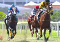 Defensora del Jet Set (Foto J.Villanueva)