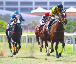 Defensora del Jet Set (Foto J.Villanueva) 
