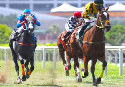 Defensora del Jet Set (Foto J.Villanueva)